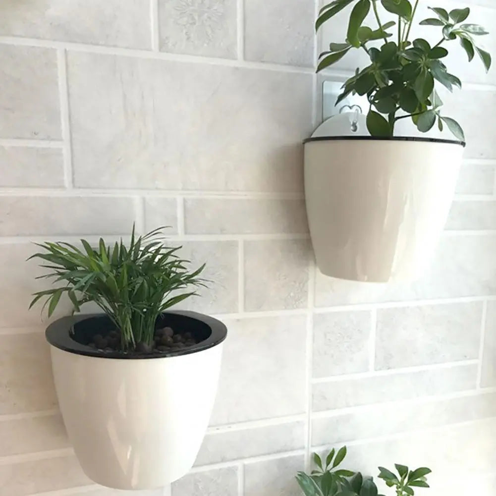 plant-wall-hanger